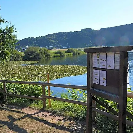 Cosy With Terrace In Meisburg